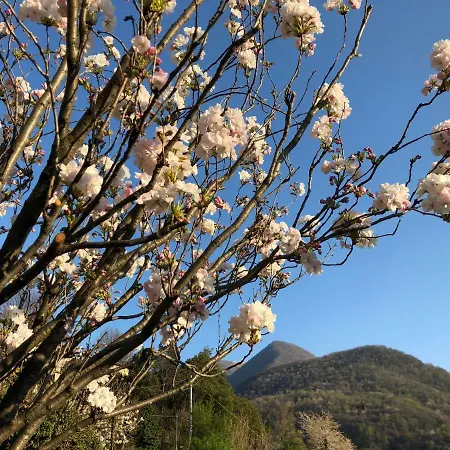 Holiday home Eden Sul Lago Di Como *